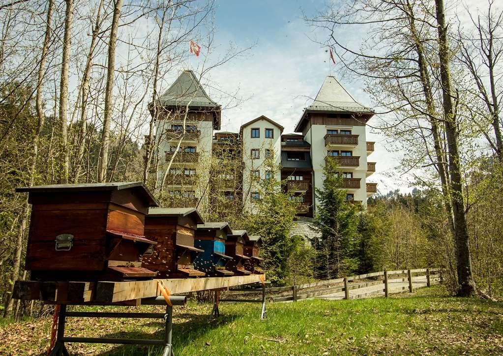 The Alpina Gstaad Hotel Bagian luar foto