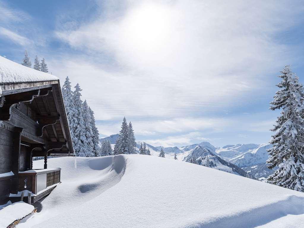 The Alpina Gstaad Hotel Bagian luar foto